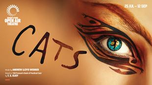 This artwork promotes the musical CATS and shows a cast member with blue eyes, eyelids and under-eyes featuring lines and symbols created with eyeliner.