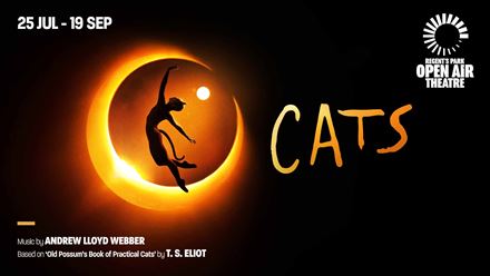 Don't miss the highly anticipated return of CATS the Musical, with a brand new production premiering in 2026 at the Regent's Park Open Air Theatre. Image courtesy of London Theatre Direct