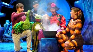 A puppet bird, frog and dog sit around a smoking cauldron with actors dressed as a witch and a cat.