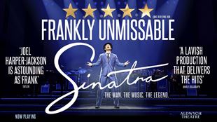 Promotional artwork for Sinatra The Musical featuring the actor on stage with his arms up in the air, the show title and comments from the press including "frankly unmissable".