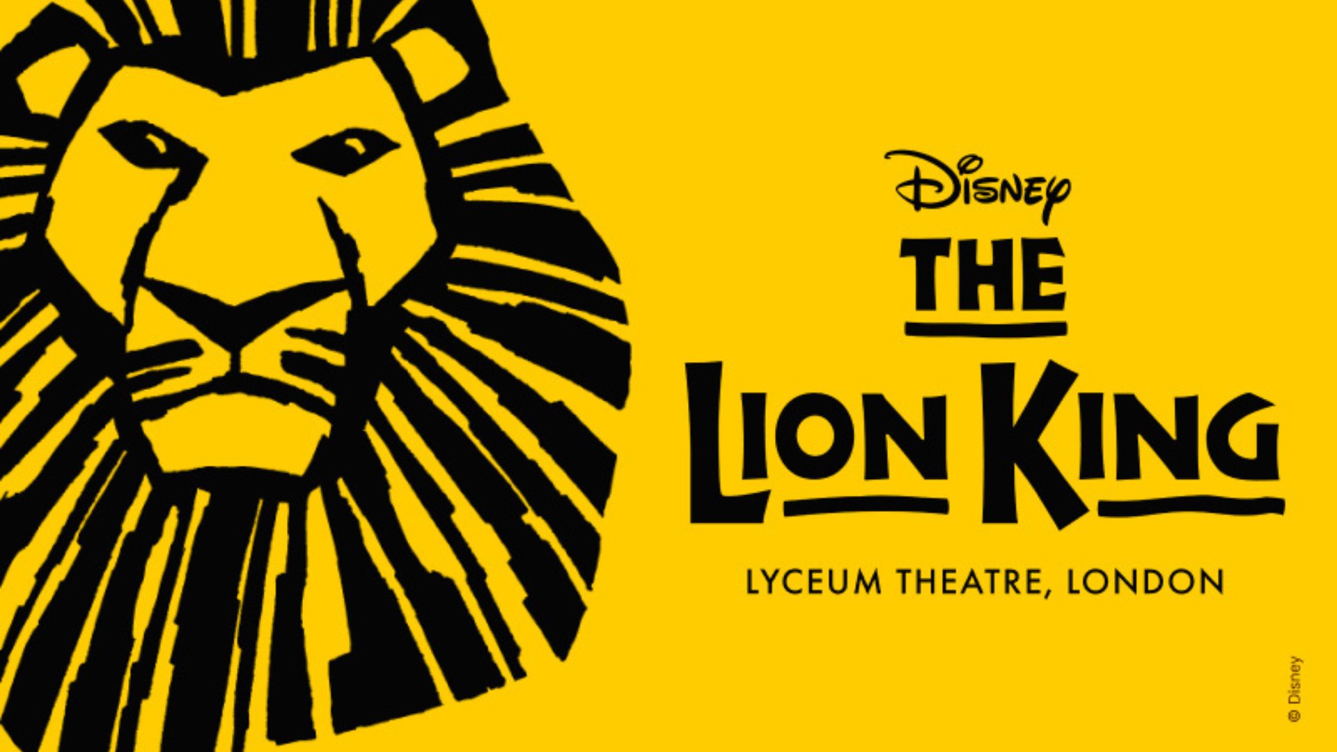 A yellow poster with a drawing of a lion for the artwork of Disney's The Lion King theatre show in London