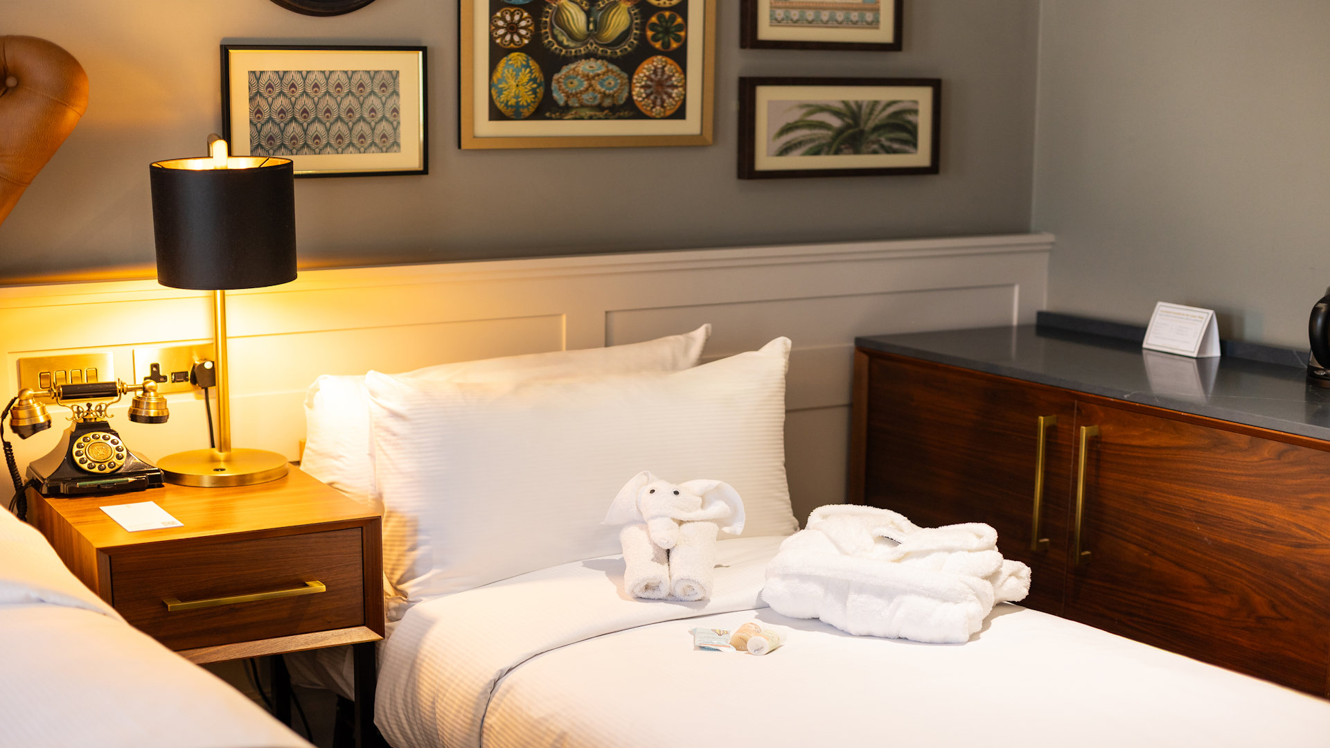 Single bed on a hotel with towel folded into an Elephant and bath robe on the bed, lamp on bedside table