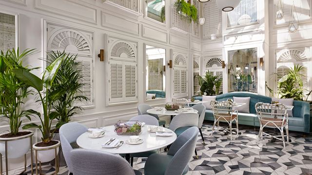 A white, airy room with tables and plants on a sunny day