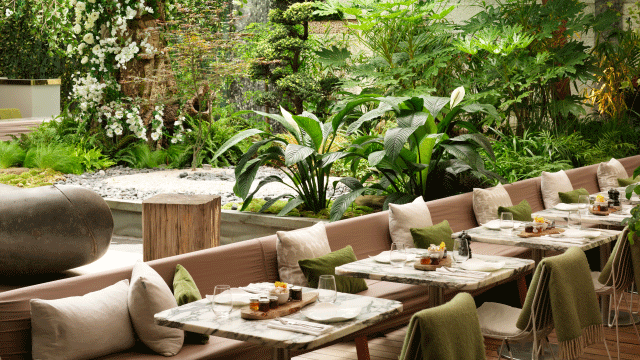 Plants form the backdrop of outdoor seating area at Sanderson