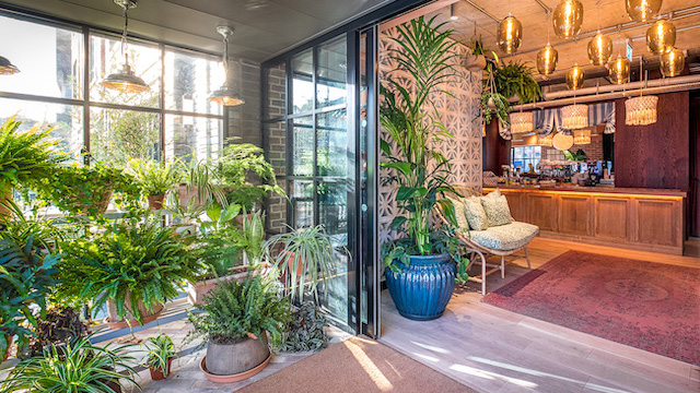 A large number of potted plants under golden lights at the entrance to room2 Chiswick in West London.